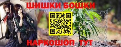 спиды Камышлов