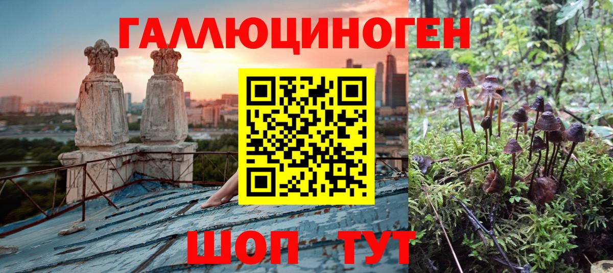 Ярцево  Галлюциногенные грибы Magic Shrooms  Вход с VPN 